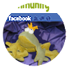 th-Facebook