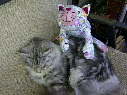 Mariana's-cat-toy-pattern