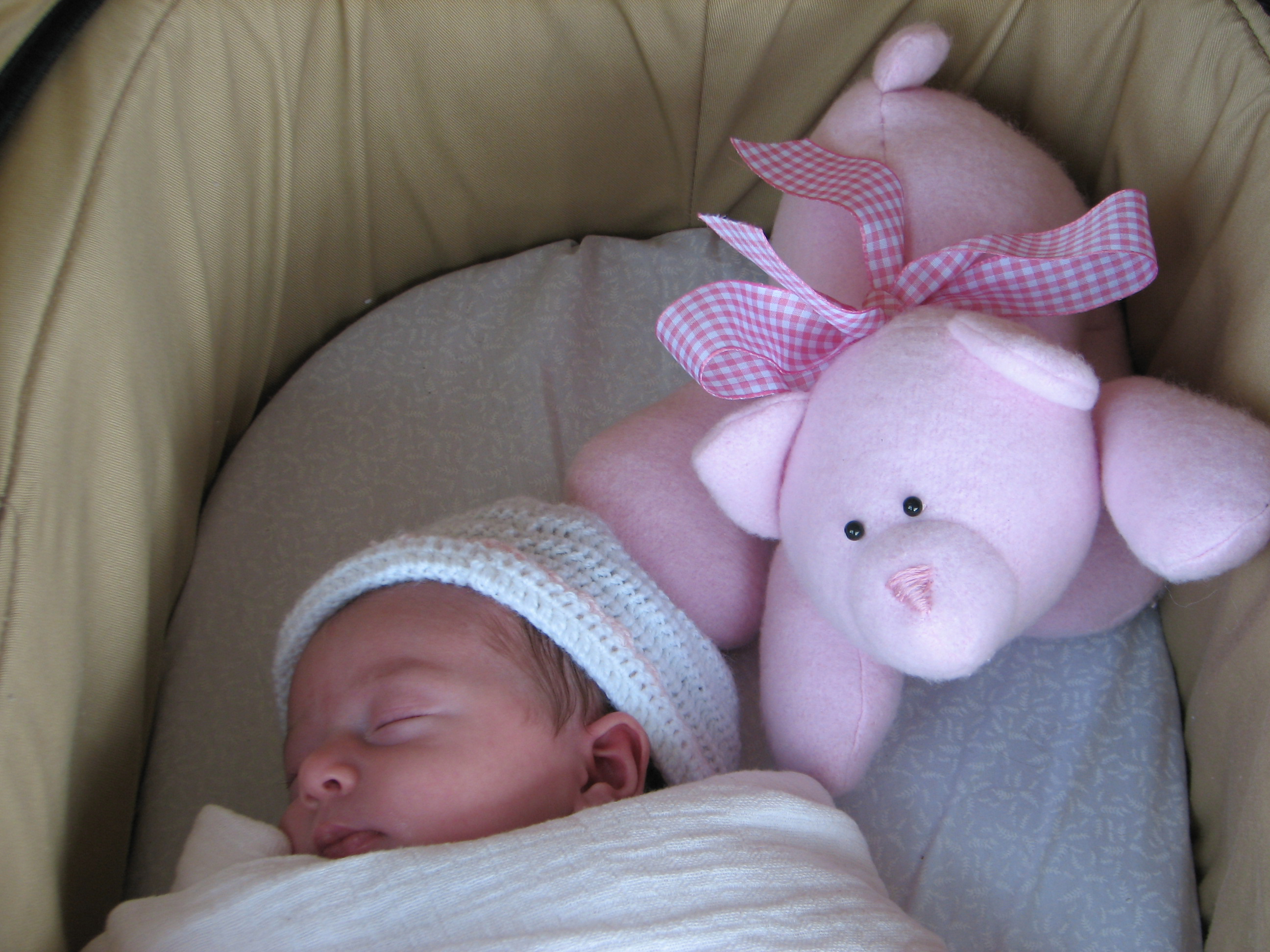 Honey the Easy Teddy PRINTED PATTERN