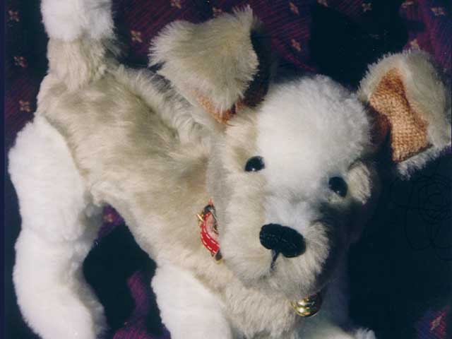 Jake the Puppy PRINTED PATTERN