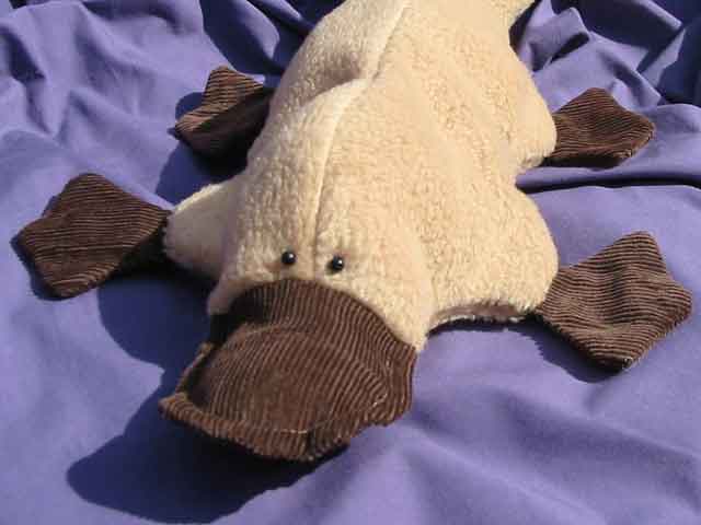 Plattie Platypus INSTANT DOWNLOAD