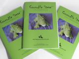 Wholesale Toy Patterns - CROCODILE