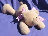 Simple Bear Pattern