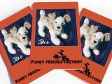 Wholesale Toy Patterns - JACK RUSSELL PUPPY