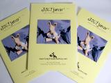 Wholesale Toy Patterns - KANGAROO