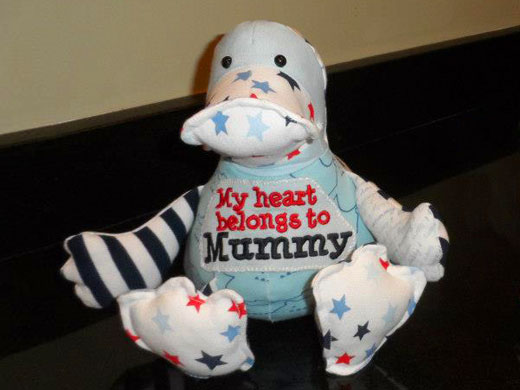 Cuddle Buddy Keepsakes - Funky Friends memory toy