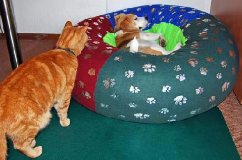 Dog bed sewing pattern - Pauline McArthur