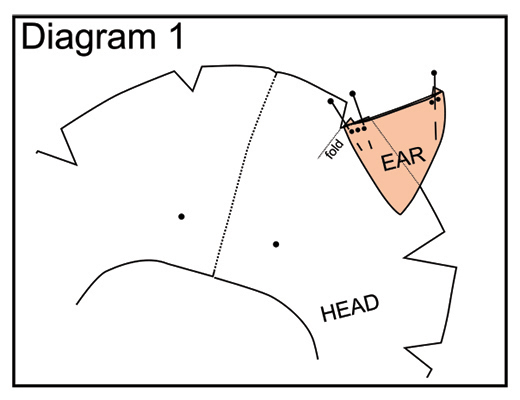 Wombat ear pinning diagram 1