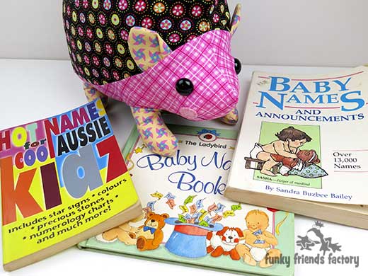 Baby names books