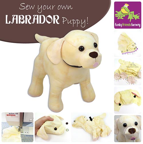 Labrador-Tutorial.web