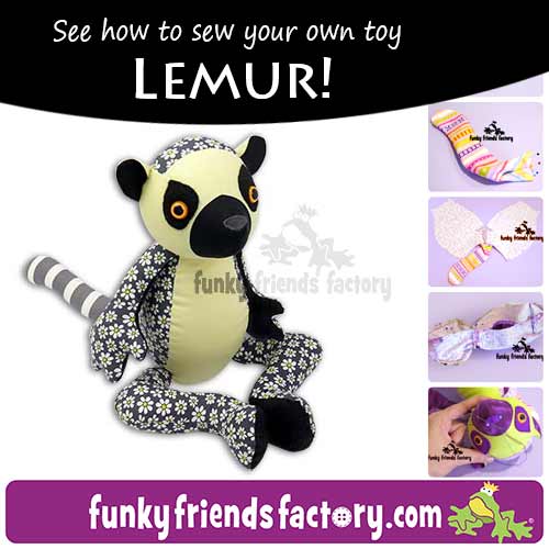 LEMUR Photo Tutorial Collage