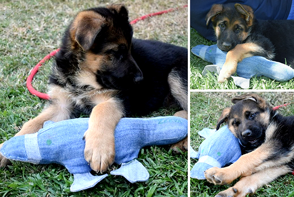 Denim dog toy sewn by Anel CArlson