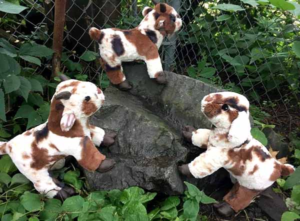 Goats in Cuddle sewn by Rebecca Karstad