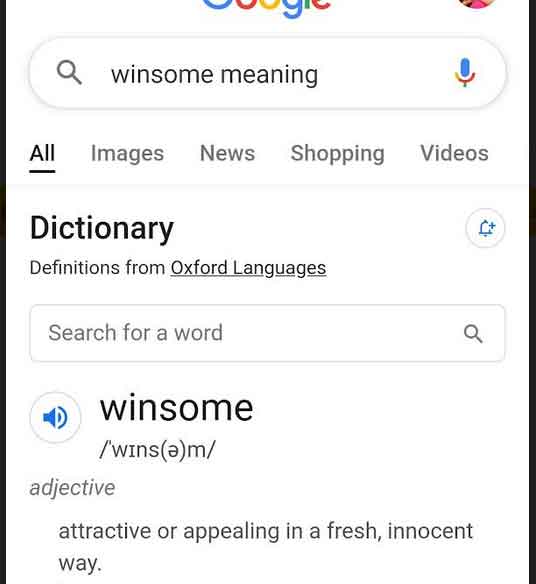 Winsome-meaning