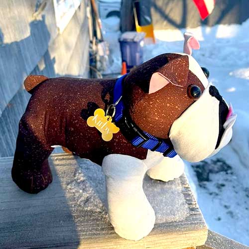 January 2022 MAKER OF THE MONTH – wins a FREE Funky Friends Factory Pattern!