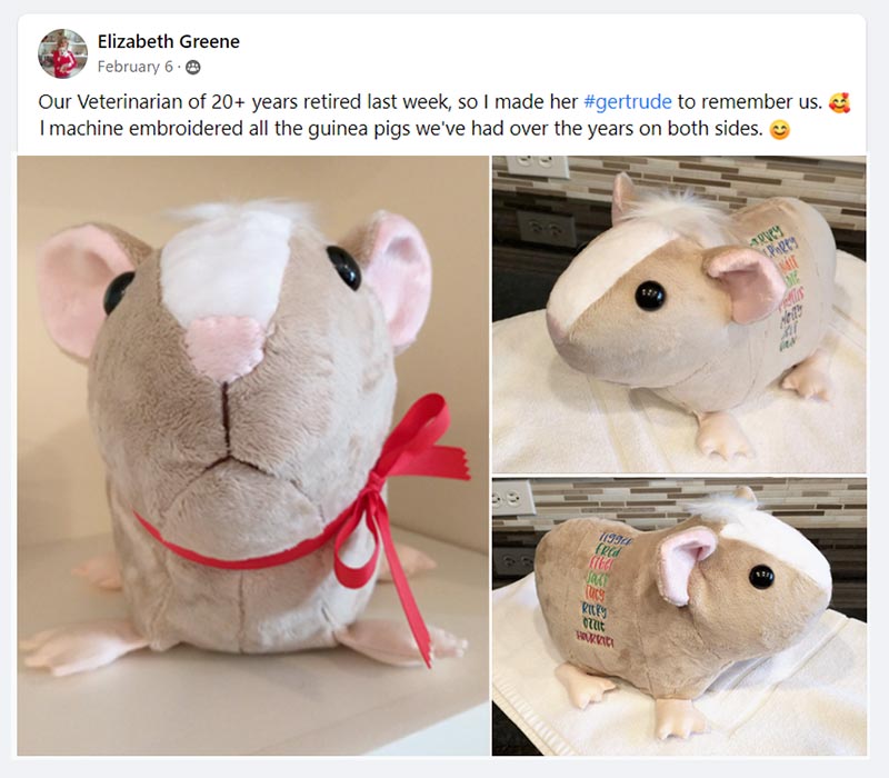 Guinea-pig-pattern-by-Pauline-McArthur,-sewn-by-elizabethgreene