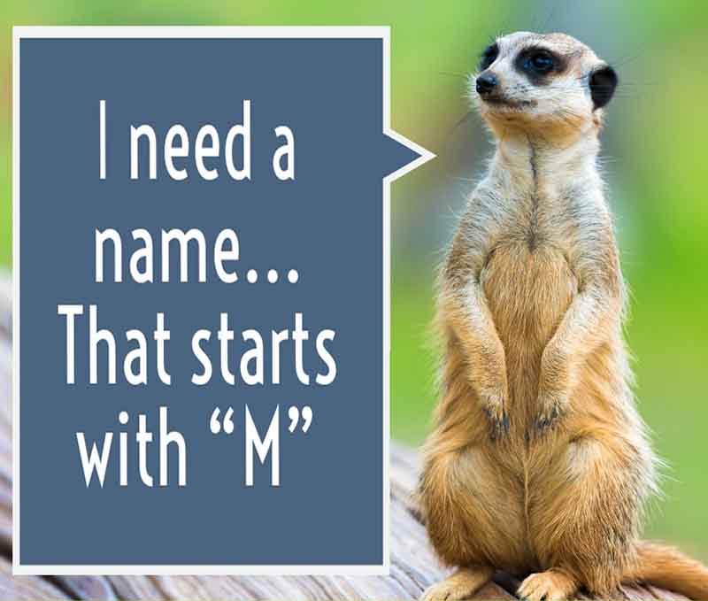 A name beginning with M