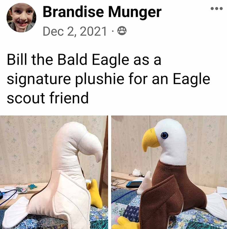 Bald Eagle pattern sewn as a signature toy