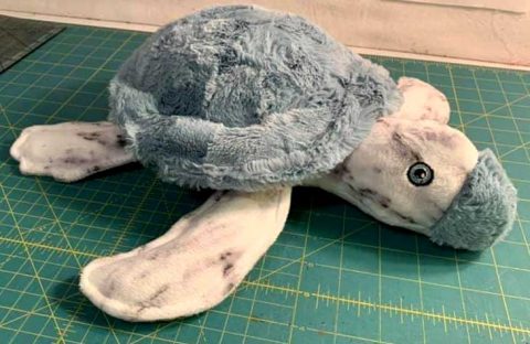 Week 5 – Celebrating Shark Week 2022 with Sammy Shark & his friend Stu ...