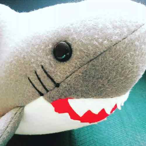 DIVE IN Celebrating Shark Week 2022 with Sammy Shark!