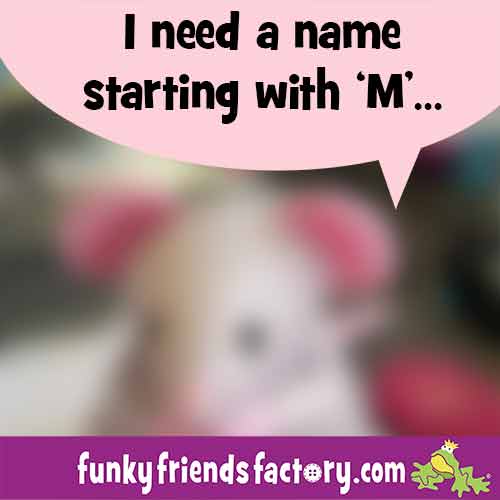 Name needed for the Funky Friends Factory Mouse Toy Pattern!