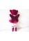 Sugar Plum Fairy CHRISTMAS Cloth Doll INSTANT DOWNLOAD