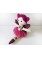 Ballerina Cloth Doll 