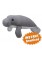 ManateePattern PDF