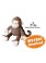 Mitch the Monkey Soft Toy Sewing Pattern INSTANT DOWNLOAD