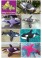 Orca sewing pattern feedback photos