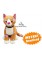 Socks the SITTING Cat Pattern PDF 