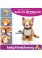 SITTING Cat Pattern