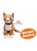 Socks the SITTING Cat Pattern PDF 