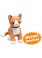 Socks the SITTING Cat Pattern PDF 