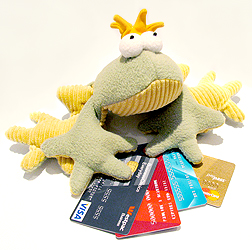 FROG-credit-card-pic Pay by credit card
